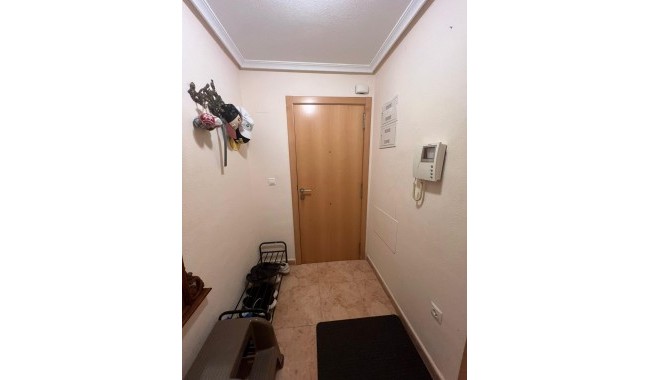 Begagnad - Lägenhet - Torrevieja - Estacion de autobuses