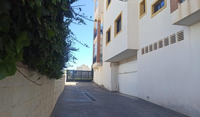 Begagnad - Lägenhet - Guardamar - Los secanos