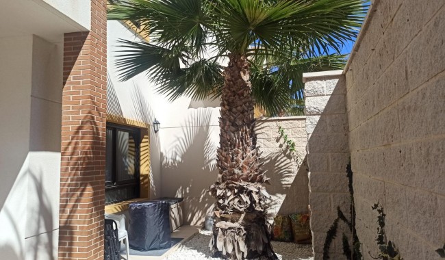 Begagnad - Lägenhet - Guardamar - Los secanos