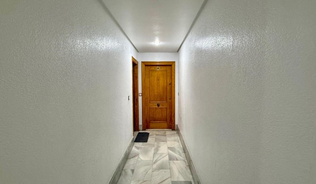 Begagnad - Lägenhet - Torrevieja - Centro