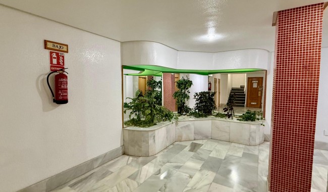 Begagnad - Lägenhet - Torrevieja - Centro