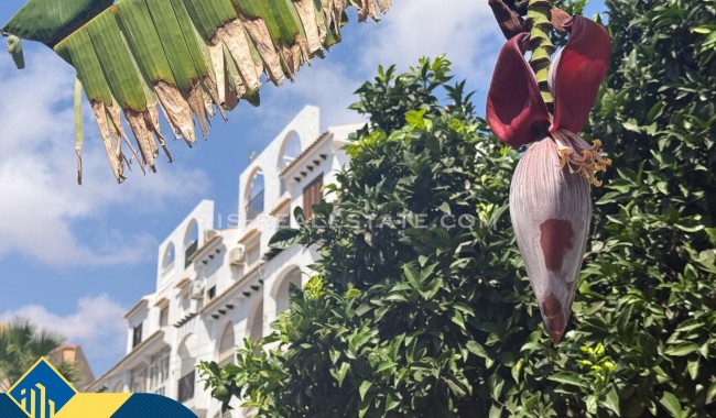 Begagnad - Lägenhet - Torrevieja - Calas blanca