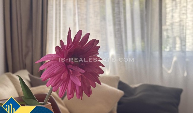 Begagnad - Lägenhet - Torrevieja - Calas blanca