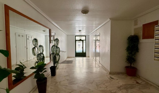 Segunda mano - Apartamento - Torrevieja - Playa de los locos