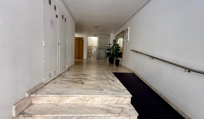 Segunda mano - Apartamento - Torrevieja - Playa de los locos