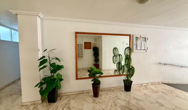 Segunda mano - Apartamento - Torrevieja - Playa de los locos