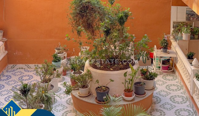 Begagnad - Lägenhet - Torrevieja - Centro