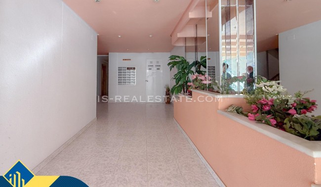 Segunda mano - Apartamento - Torrevieja - Playa de los locos