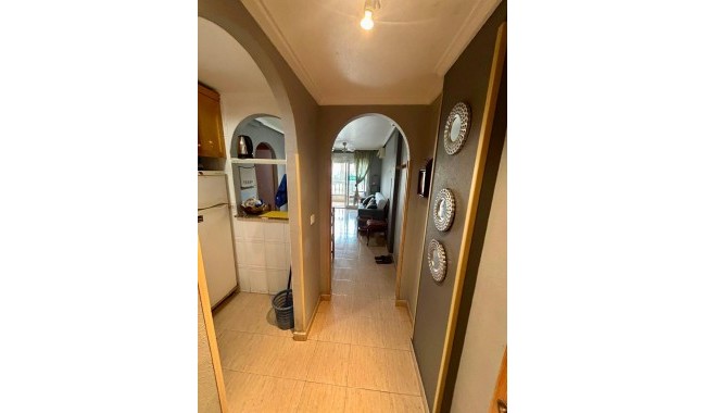 Begagnad - Lägenhet - Torrevieja - Centro