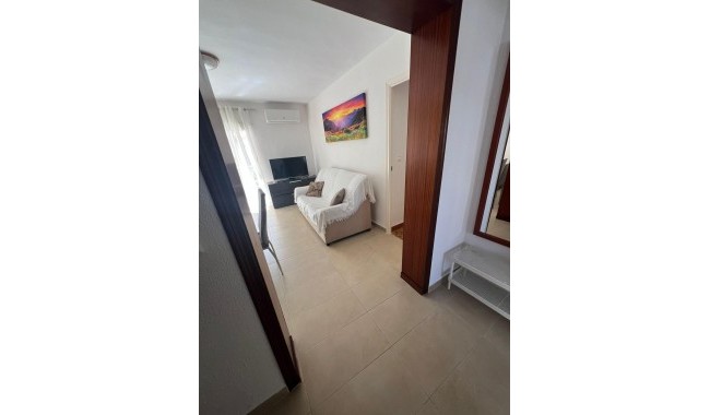 Begagnad - Lägenhet - Torrevieja - Centro