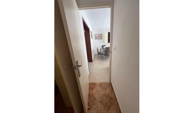 Begagnad - Lägenhet - Torrevieja - Centro