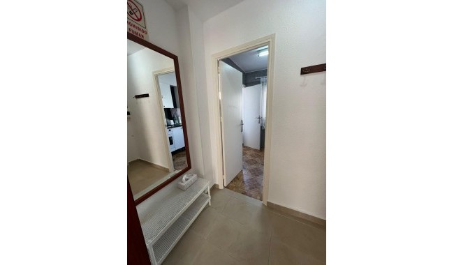 Begagnad - Lägenhet - Torrevieja - Centro