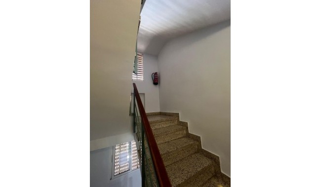 Begagnad - Lägenhet - Torrevieja - Centro