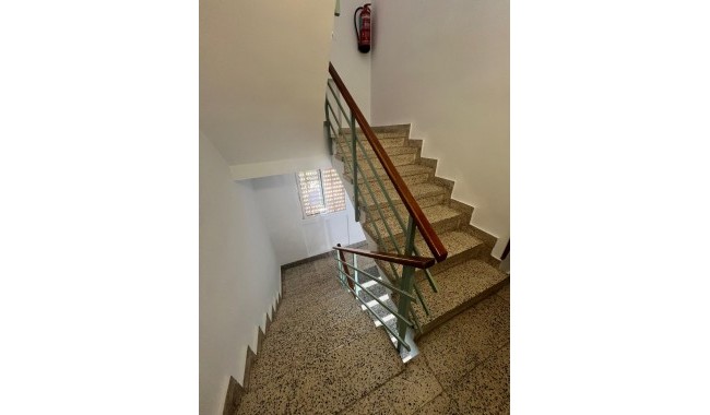 Begagnad - Lägenhet - Torrevieja - Centro