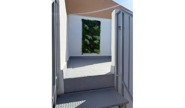 Begagnad - Radhus - Torrevieja - Parque de Las Naciones