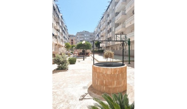 Begagnad - Lägenhet - Torrevieja - Centro