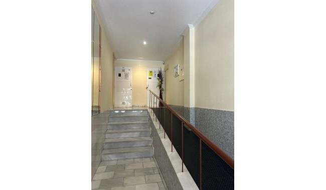 Begagnad - Lägenhet - Torrevieja - Centro