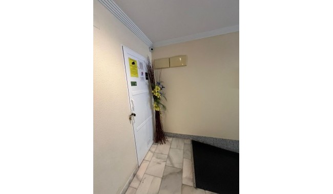 Begagnad - Lägenhet - Torrevieja - Centro