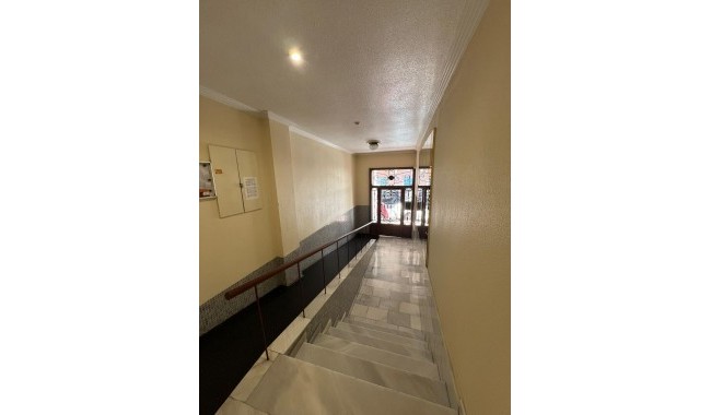 Begagnad - Lägenhet - Torrevieja - Centro