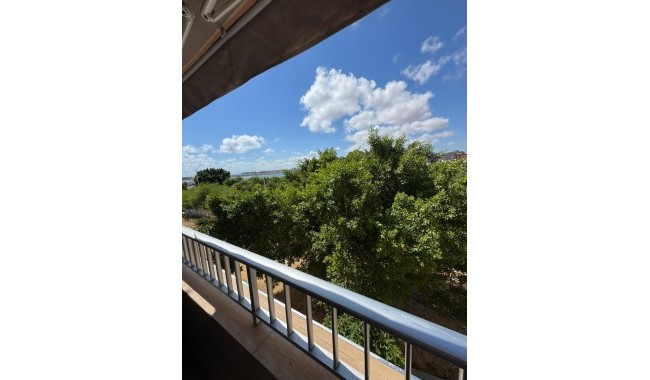 Begagnad - Lägenhet - Torrevieja - Centro