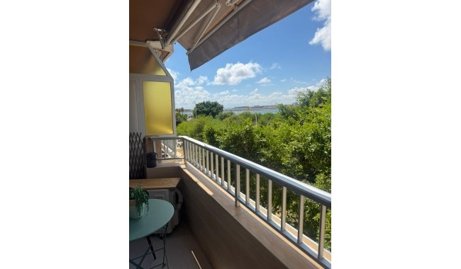 Begagnad - Lägenhet - Torrevieja - Centro