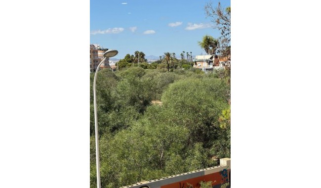 Begagnad - Lägenhet - Torrevieja - Centro