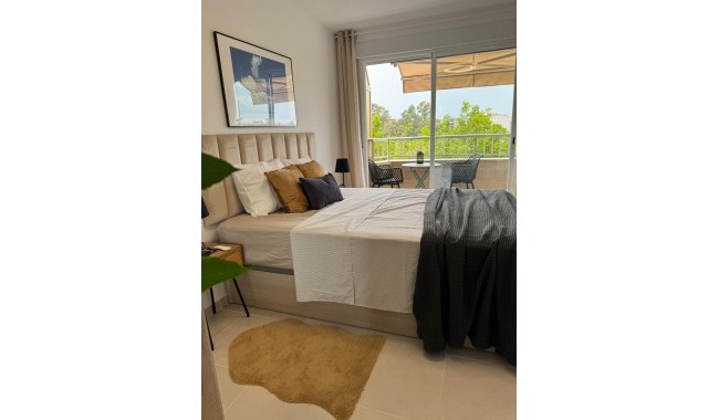 Begagnad - Lägenhet - Torrevieja - Centro