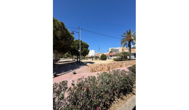 Begagnad - Lägenhet - Torrevieja - Centro