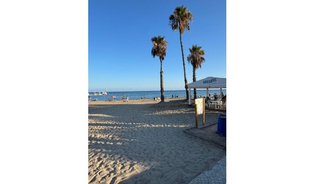 Begagnad - Lägenhet - Torrevieja - Centro