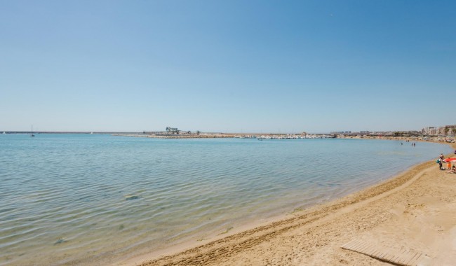Begagnad - Lägenhet - Torrevieja - Acequion