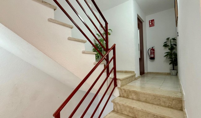 Segunda mano - Apartamento - Torrevieja - Playa de los locos