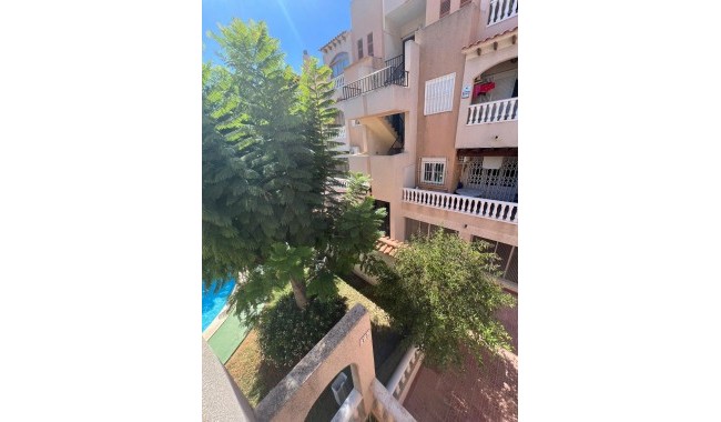 Begagnad - Lägenhet - Torrevieja - Estacion de autobuses