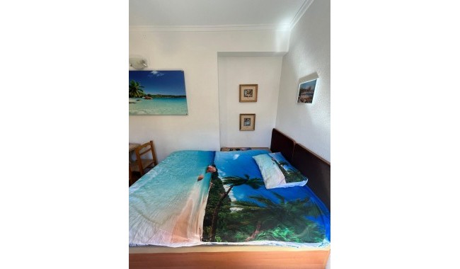 Begagnad - Lägenhet - Torrevieja - Estacion de autobuses