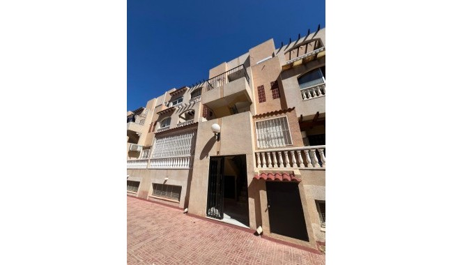 Begagnad - Lägenhet - Torrevieja - Estacion de autobuses