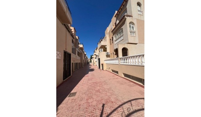 Begagnad - Lägenhet - Torrevieja - Estacion de autobuses