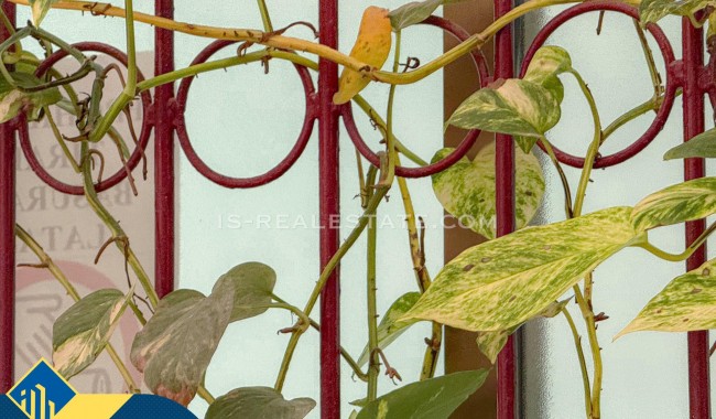 Sprzedaż - Apartament - Torrevieja - Playa de los locos