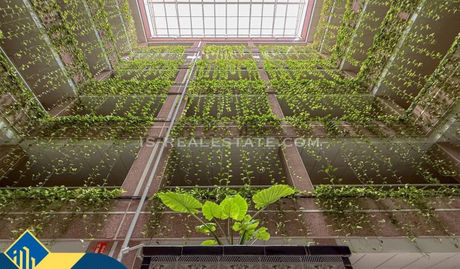 Sprzedaż - Apartament - Torrevieja - Playa del cura