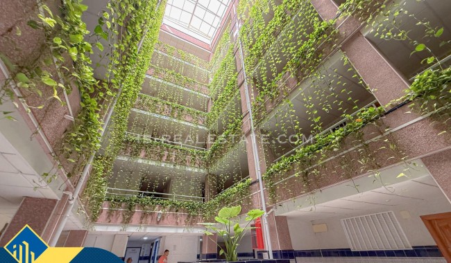 Sprzedaż - Apartament - Torrevieja - Playa del cura