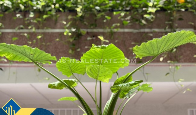 Sprzedaż - Apartament - Torrevieja - Playa del cura