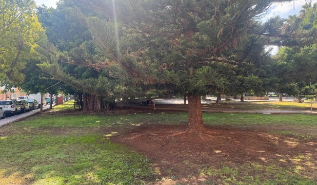 Begagnad - Lägenhet - Torrevieja - Acequion