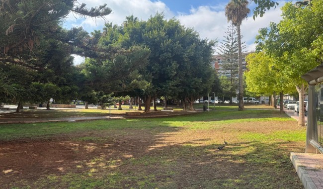 Begagnad - Lägenhet - Torrevieja - Acequion