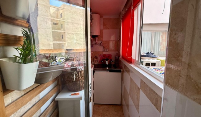Segunda mano - Apartamento - Torrevieja - Centro