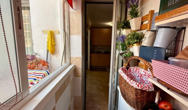 Segunda mano - Apartamento - Torrevieja - Centro