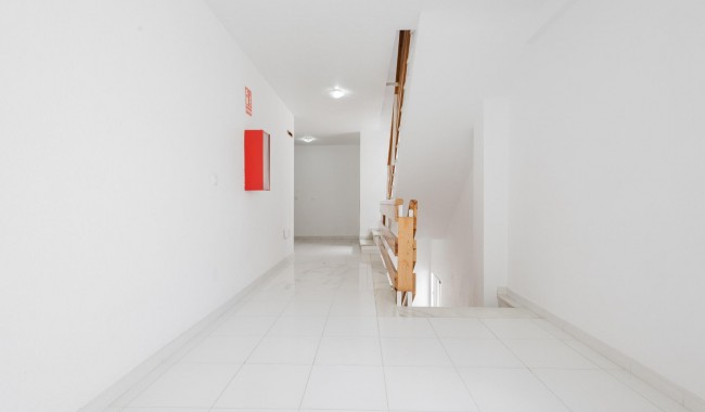 Begagnad - Lägenhet - Torrevieja - Acequion