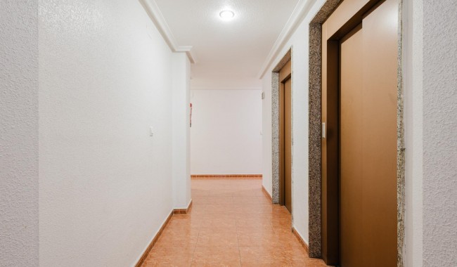 Segunda mano - Apartamento - Torrevieja - Puerto