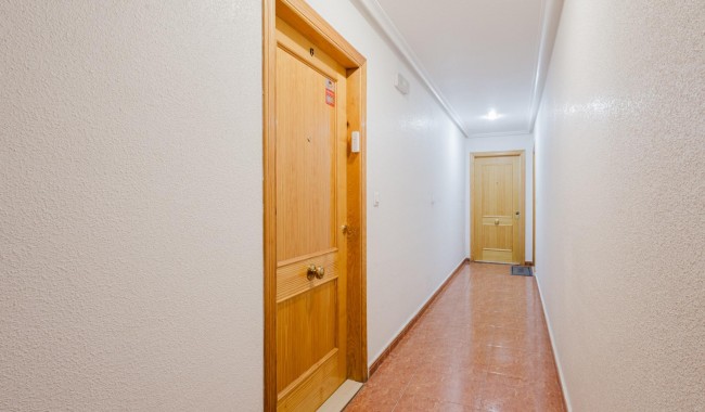 Segunda mano - Apartamento - Torrevieja - Puerto