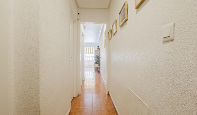 Segunda mano - Apartamento - Torrevieja - Puerto