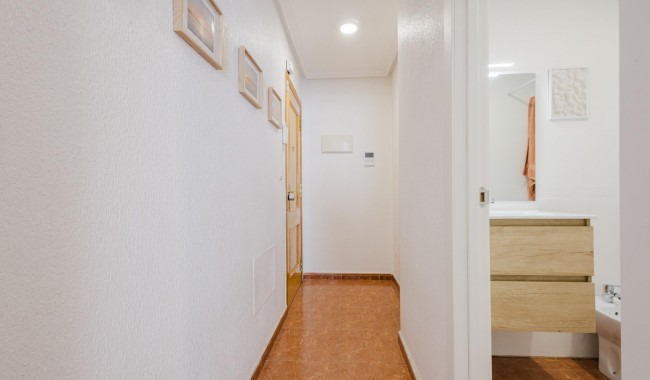 Segunda mano - Apartamento - Torrevieja - Puerto