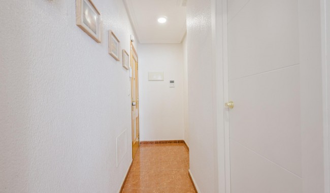 Segunda mano - Apartamento - Torrevieja - Puerto