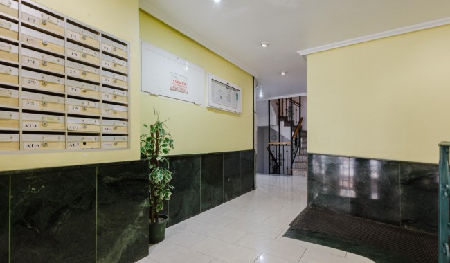 Segunda mano - Apartamento - Torrevieja - Puerto